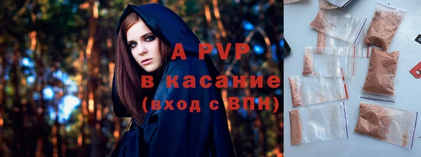 прущие грибы Осинники