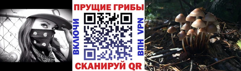 Галлюциногенные грибы Magic Shrooms  Куровское 